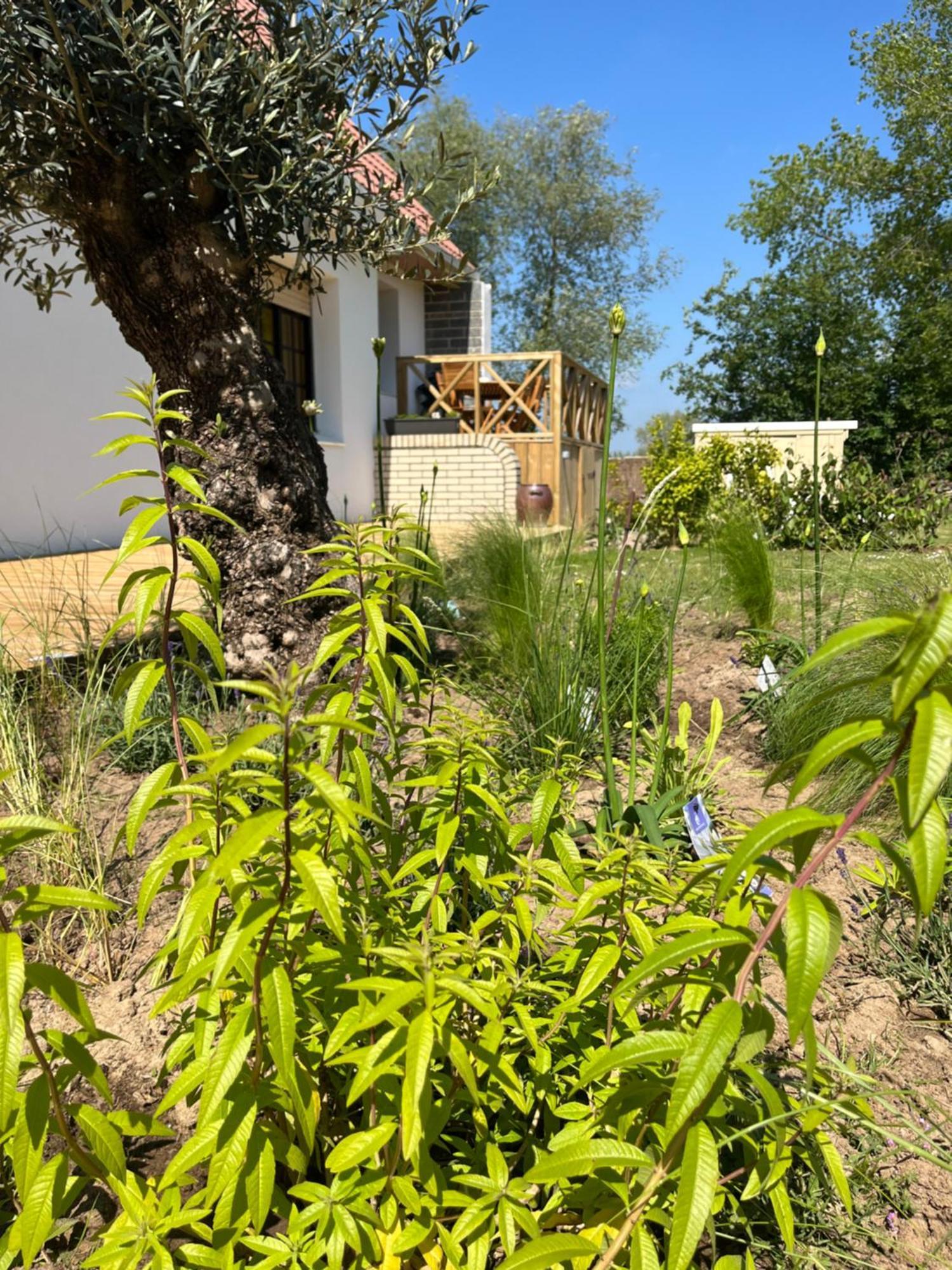 Gite Aimee De L'Etoile Villa Merlimont Plage Exteriör bild